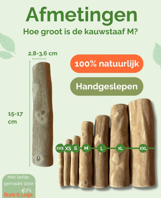 Chewing stick Coffee wood M - Per piece