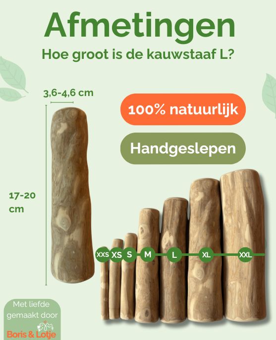 Chewing stick Coffee wood L - Per piece