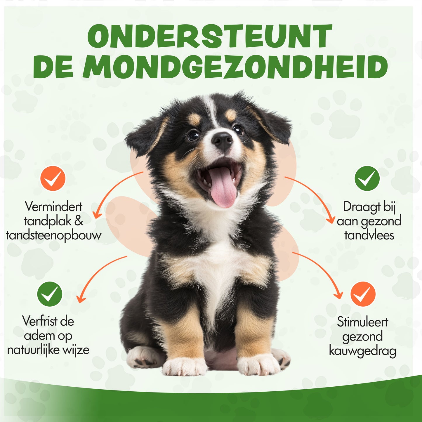 Kauwstaaf Koffiehout XXS - Per stuk