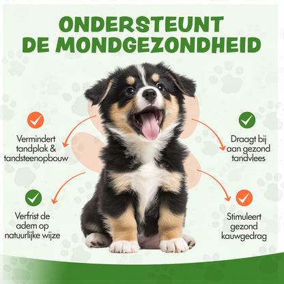 Kauwstaaf Koffiehout XXS - Per stuk