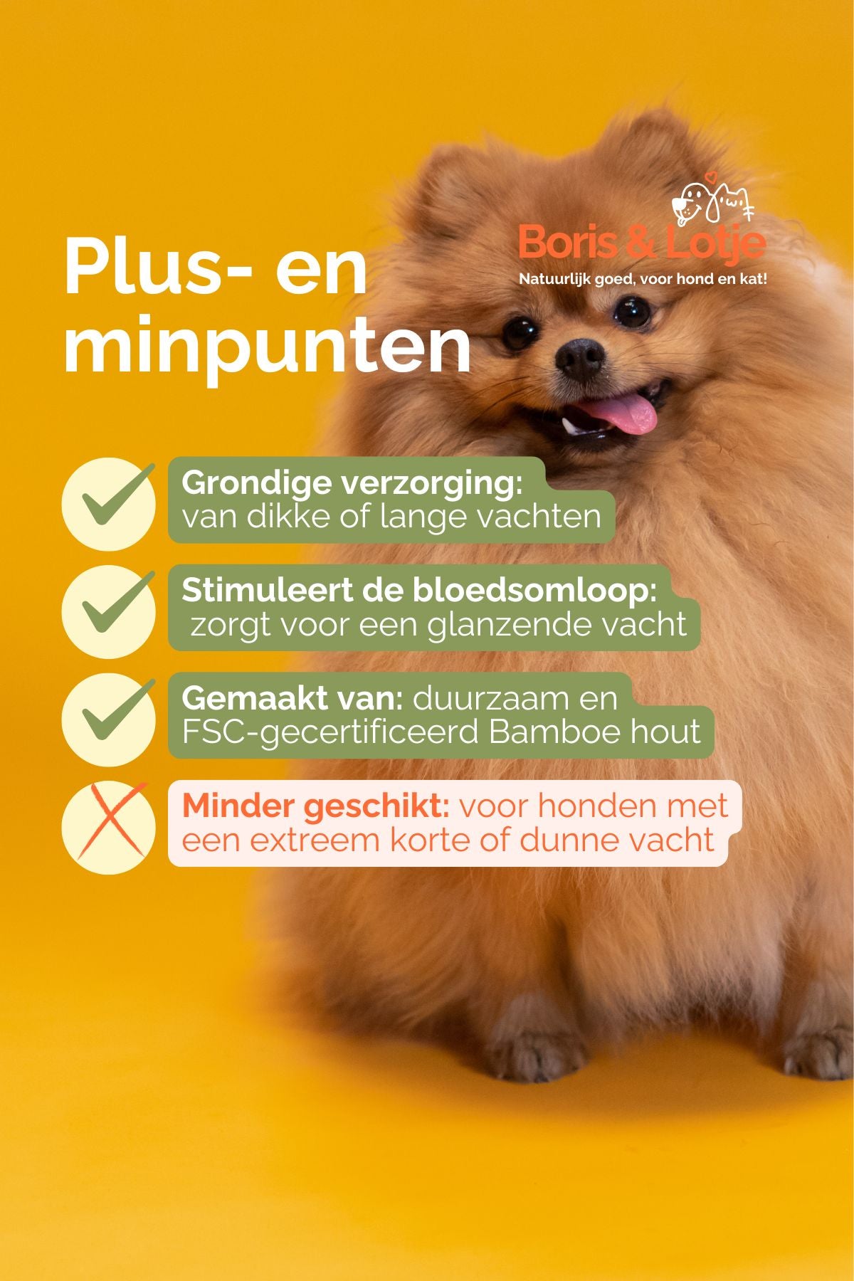 Dog Brush with Long Pins 15.4 x 10.2 cm Sustainable Bamboo Wood - Per Piece