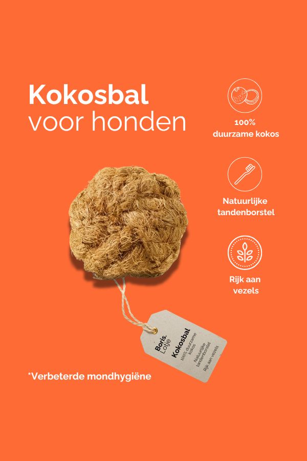 Ball of coconut fiber