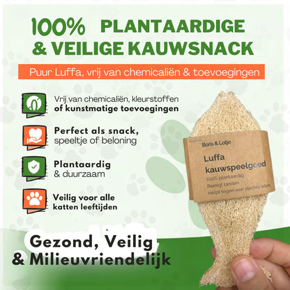 Natural Toothbrush for Cats - Made from 100% Luffa