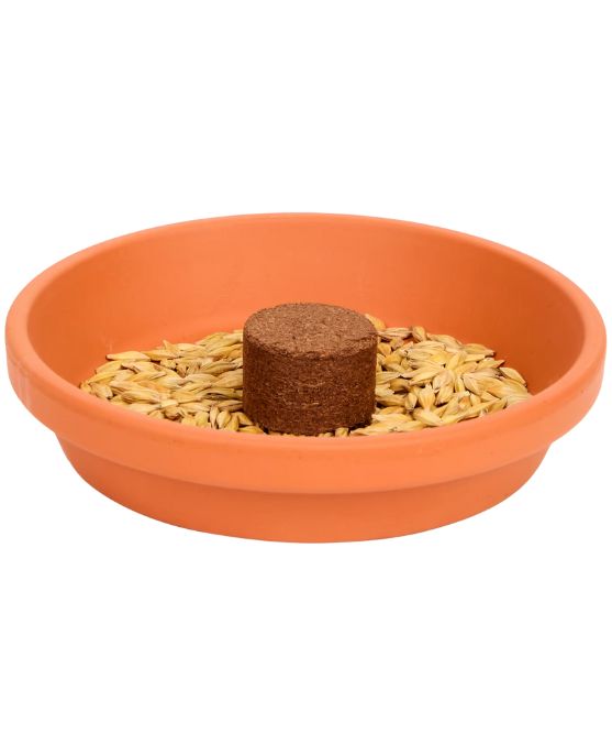 Kattengras Kweekset voor katten 3-delig