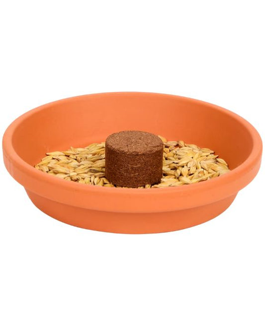 Kattengras Kweekset voor katten 3-delig